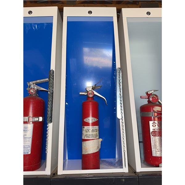 Amerex Fire Extinguisher with Wall-Mount Enclosure Box