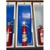 Image 1 : Amerex Fire Extinguisher with Wall-Mount Enclosure Box