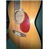 Image 10 : Spectrum Acoustic Guitar Model OPL50D and Tambourine Percussion Instrument