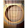 Image 4 : Spectrum Acoustic Guitar Model OPL50D and Tambourine Percussion Instrument