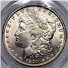 Image 3 : 1891-CC Morgan Silver Dollar PCGS MS62