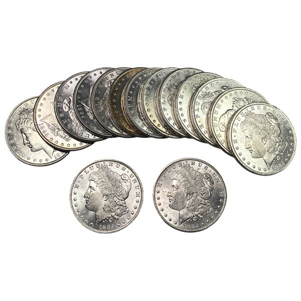 [15] 1885 Morgan Silver Dollar Roll