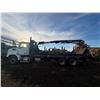 Image 2 : 2015 Western Sstar
