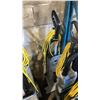 Image 5 : 3 PROFORCE & 1 NILFISK ADVANCE SPECTRUM 15D COMMERCIAL UPRIGHT VACUUM CLEANERS