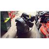 Image 2 : PATRON PORTABLE GAS POWERED AIR COMPRESSOR