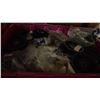 Image 3 : LARGE PINK BIN OF ASSORTED PLUMBING SUPPLIES / HARDWARE & BIN OF ASSORTED SMALL ENGINE PARTS