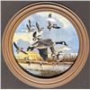 Image 12 : 7 Collector Plates Canada Goose Series by Bill Stephens and Norman Rockwell