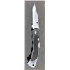 Image 5 : 38 Folding Knives and Keychain Knives with Sheaths, Mixed Styles and Sizes