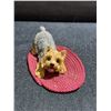Image 11 : Sandicast & Camp Artist Yorkshire Terrier Figurines Lot, 8 Pieces, Mixed Styles