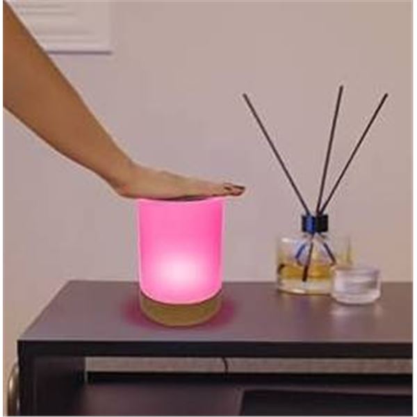 Lumi Friendship Lamp by Filimin with Box