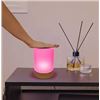 Image 1 : Lumi Friendship Lamp by Filimin with Box