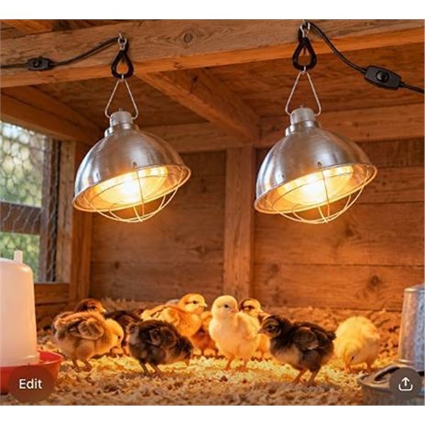 HIWKLT Clamp Light Set of 2, Made in China