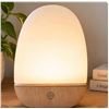 Image 1 : Light Therapy Modern Table Lamp 145mm Height