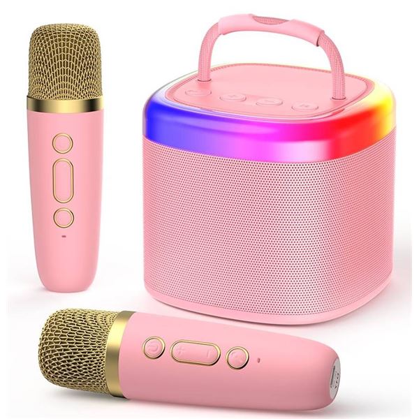 D17-T Karaoke Machine Pink With 2 Mics