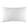 Image 1 : Ariza Sleep Bamboo Queen Pillow 20x30 In