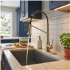 Image 1 : KENES Stainless Steel Kitchen Faucet Set