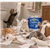 Image 1 : Royale Original 2-Ply Bathroom Tissue 9 Rolls