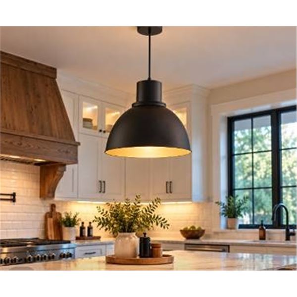 VALU+ 1-Light Pendant Black Finish 14.9 in