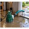 Image 1 : Zoeller M98-D 0.5HP 115V Sump Pump