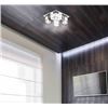 Image 1 : Lumirama Emerson 4-Light Flushmount Fixture