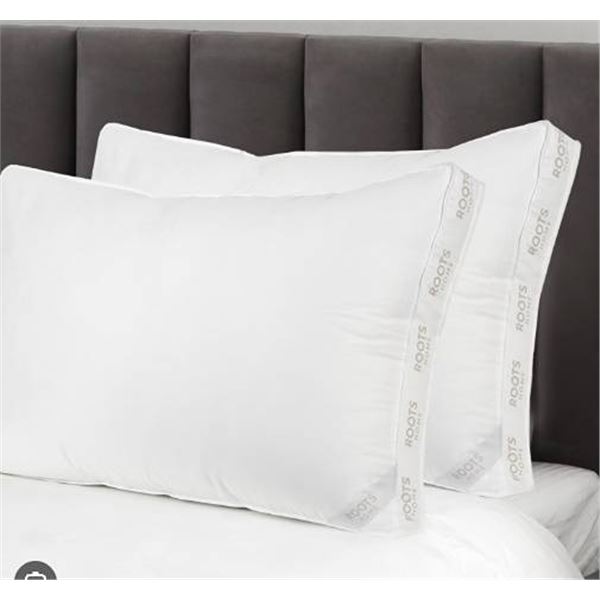 Roots Home Set Of 2 White Bed Pillows
