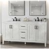 Image 1 : Home Decorators Ellia 60 In Vanity Combo