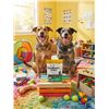Image 1 : TenDogs DuoBones Minis Mint 100g Dog Chews