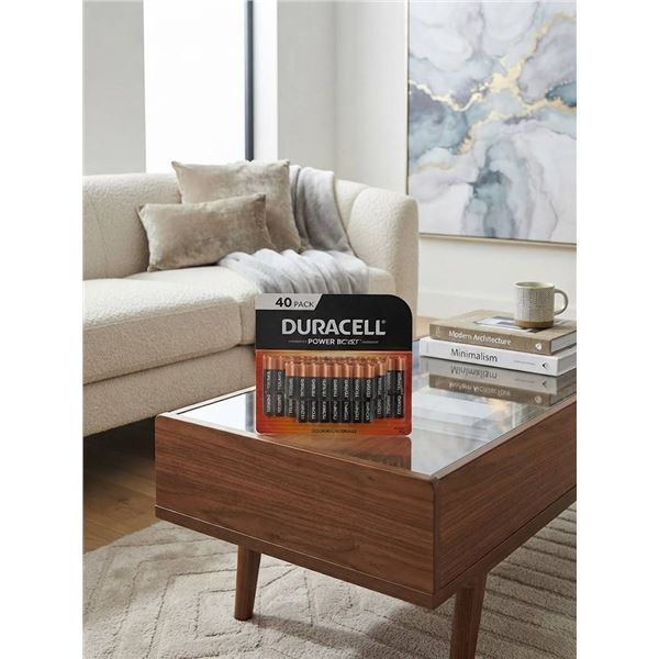 Duracell AA Power Boost Alkaline Batteries 40 Pack