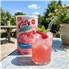 Image 1 : Good Host Raspberry Lemonade 2x2.35kg Mix