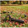 Image 1 : Greenworks Pro 80V Blower Trimmer Combo, No Battery