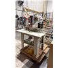 Image 1 : CANTEK 21 SPINDLE PNEUMATIC LINE BORING MACHINE ON MOBILE CART WITH FOOT PEDAL