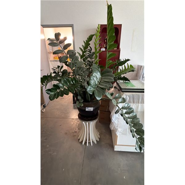 LARGE POTTED ZZ PLANT ON PEDESTAL