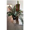 Image 1 : LARGE POTTED ZZ PLANT ON PEDESTAL