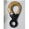 Image 1 : EYE HOOK WITH LATCH 13-10 1/2"