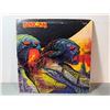 Image 1 : Black Sun - Self Titled Vinyl Record