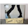 Image 1 : David Bowie - Lodger Vinyl Record