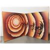 Image 3 : Stevie Wonder - Songs In The Key Of Life Vinyl Record