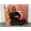 Image 2 : Stevie Wonder - In Square Circle Vinyl Record