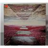 Image 1 : Tangerine Dream - Stratosfear Vinyl Record
