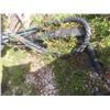 Image 9 : Capitol I Sloper/Gravel Reclaimer Grader Attachment