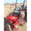Image 2 : 2019 Exmark Lazer Z E-Series 60" Zero Turn Mower – 24.5 HP Gas