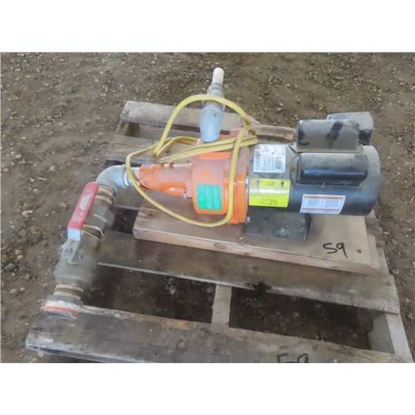 Duro 1/2 HP Electric Water Pump