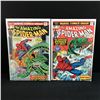 Image 1 : LOT OF 2 AMAZING SPIDERMAN COMICS #145 - #146 - MARVEL COMICS