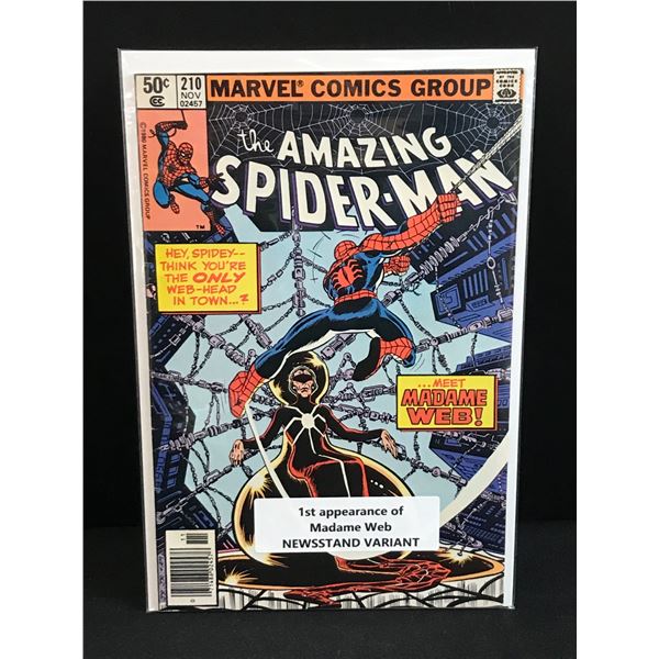 THE AMAZING SPIDERMAN #210 1ST APP OF MADAME WEB NEWSSTAND VARIANT - MARVEL COMICS