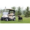 Image 2 : Golf & Dinner For Two At Woodside Golf Course & 525 Restaurant