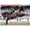 Image 3 : Four (4) 2026 Calgary Stampede Rodeo Tickets