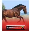 Image 1 : Four (4) Eqvalan Horse Dewormer Tubes