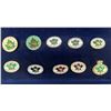 Image 2 : Canadian Finals Rodeo Pins