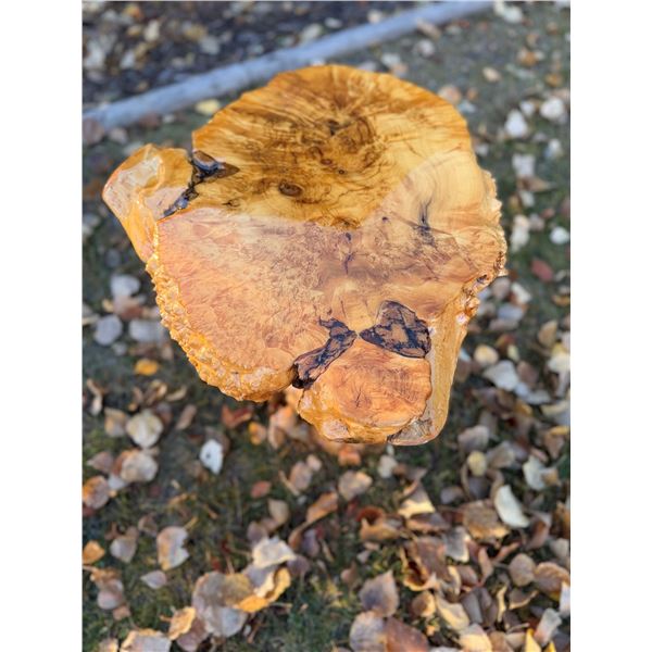 Maple Burl Wood Table