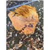 Image 1 : Maple Burl Wood Table
